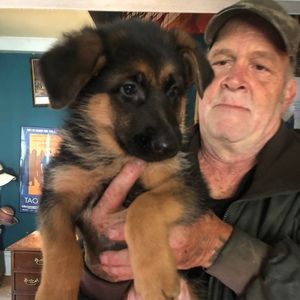 Meet your Posher, Aliceann